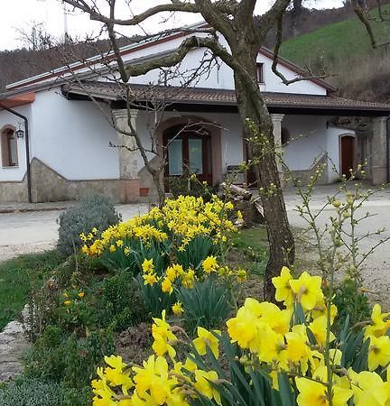 Agriturismo Il Regio Tratturo Villa Baselice Ngoại thất bức ảnh