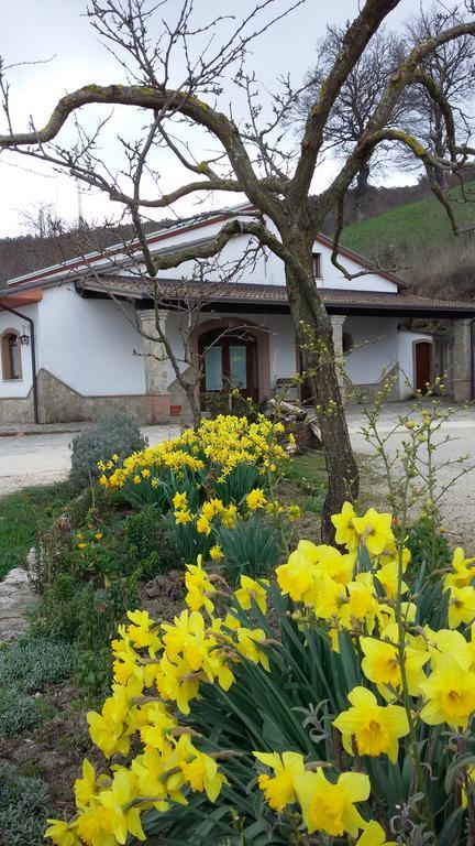 Agriturismo Il Regio Tratturo Villa Baselice Ngoại thất bức ảnh